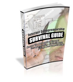 INTERNET ENTREPRENEURSHIP SURVIVAL GUIDE