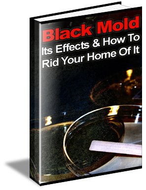 Black Mold, Its Effects & How To Rid Your Home Of It