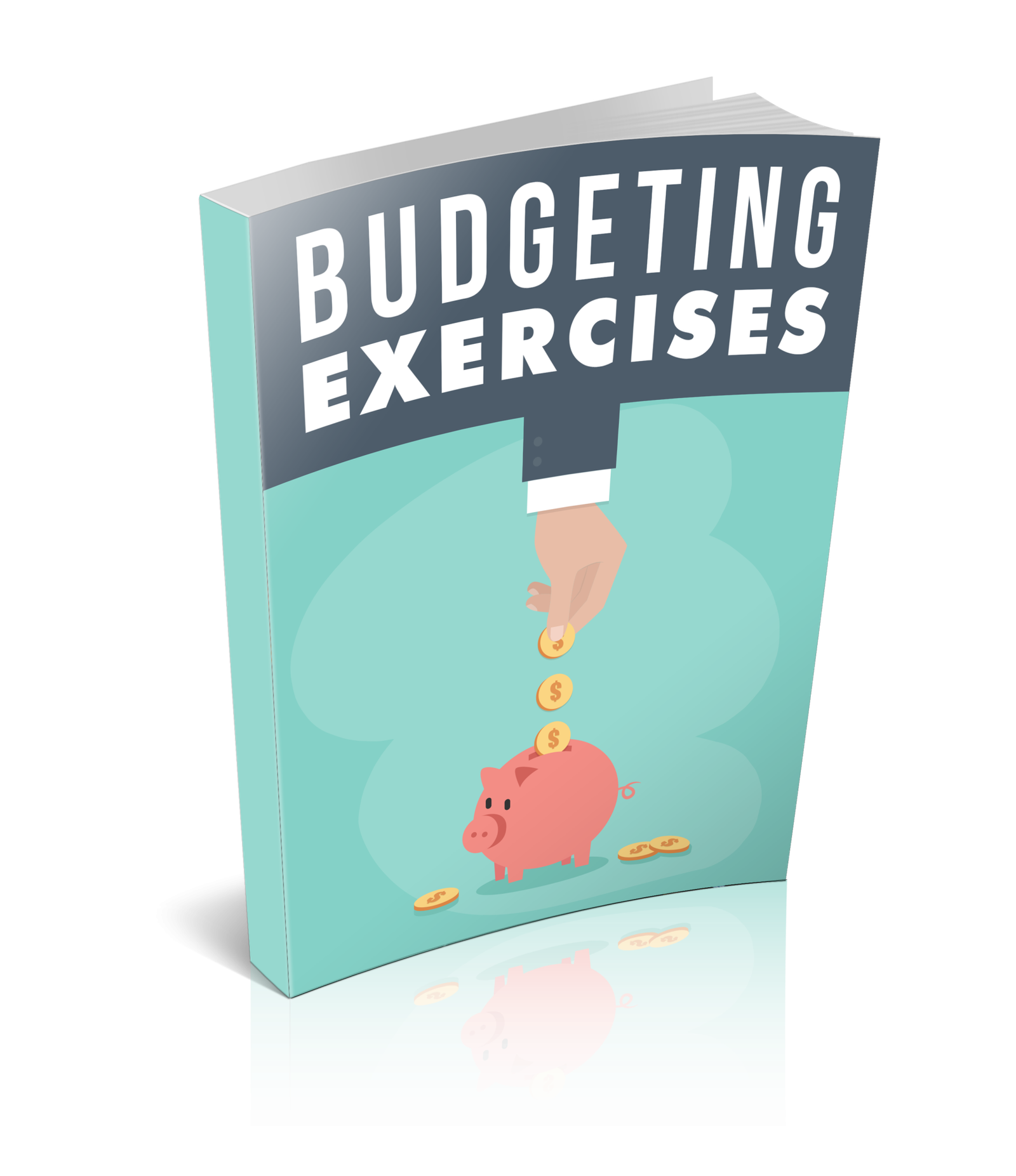 BUDGETING EXERCISES