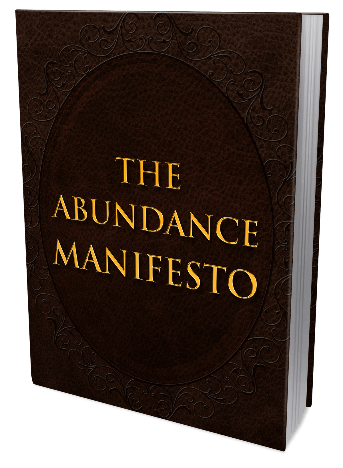THE ABUNDANCE MANIFESTO