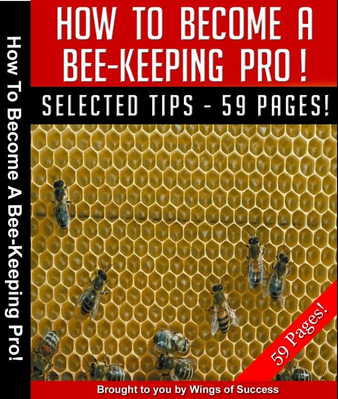How To Become A Bee-Keeping Pro!