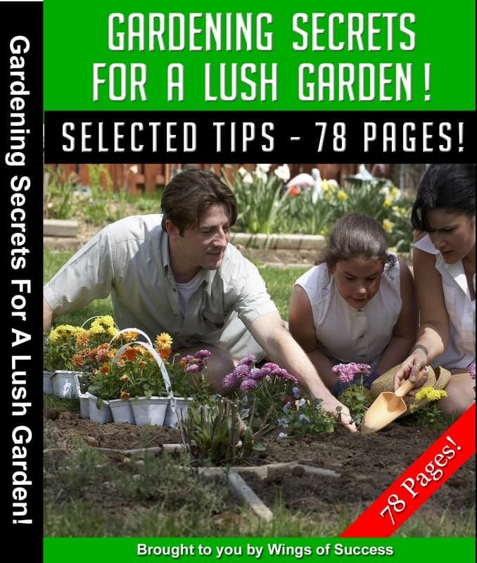 Gardening Secrets For A Lush Garden!