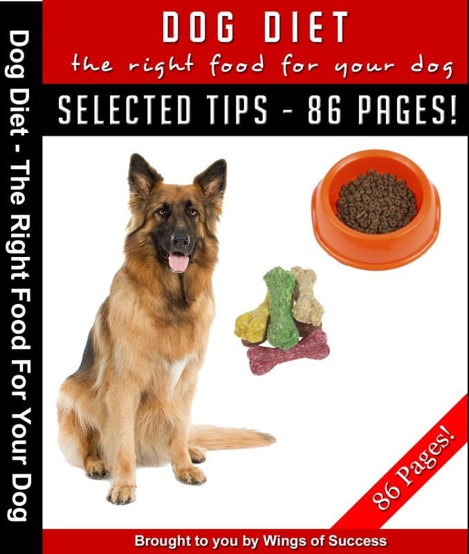 Dog Diet – The Right Food For Your Dog
