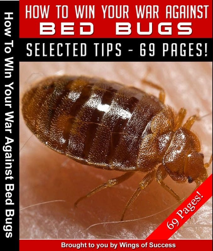 How To Win Your War Against Bed Bugs