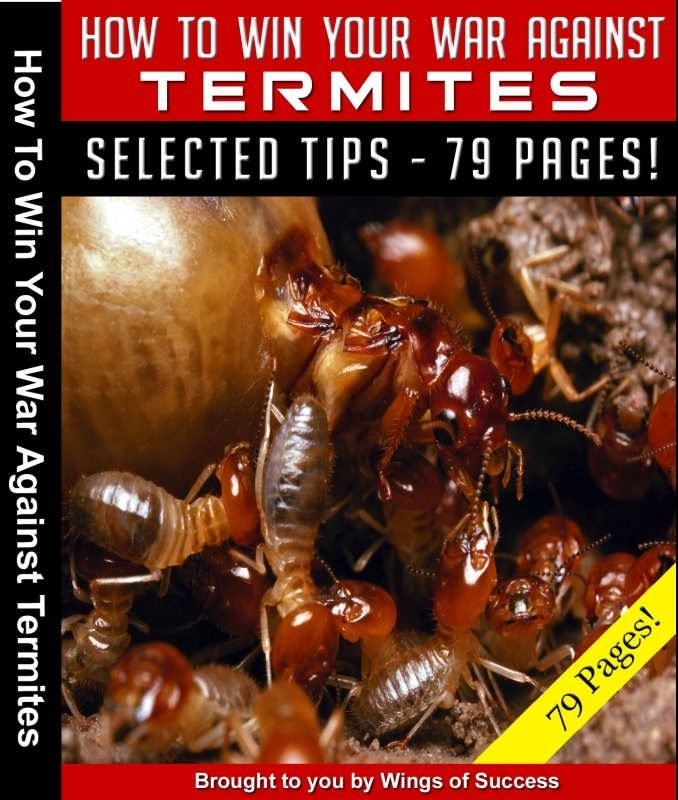 How To Win Your War Against Termites