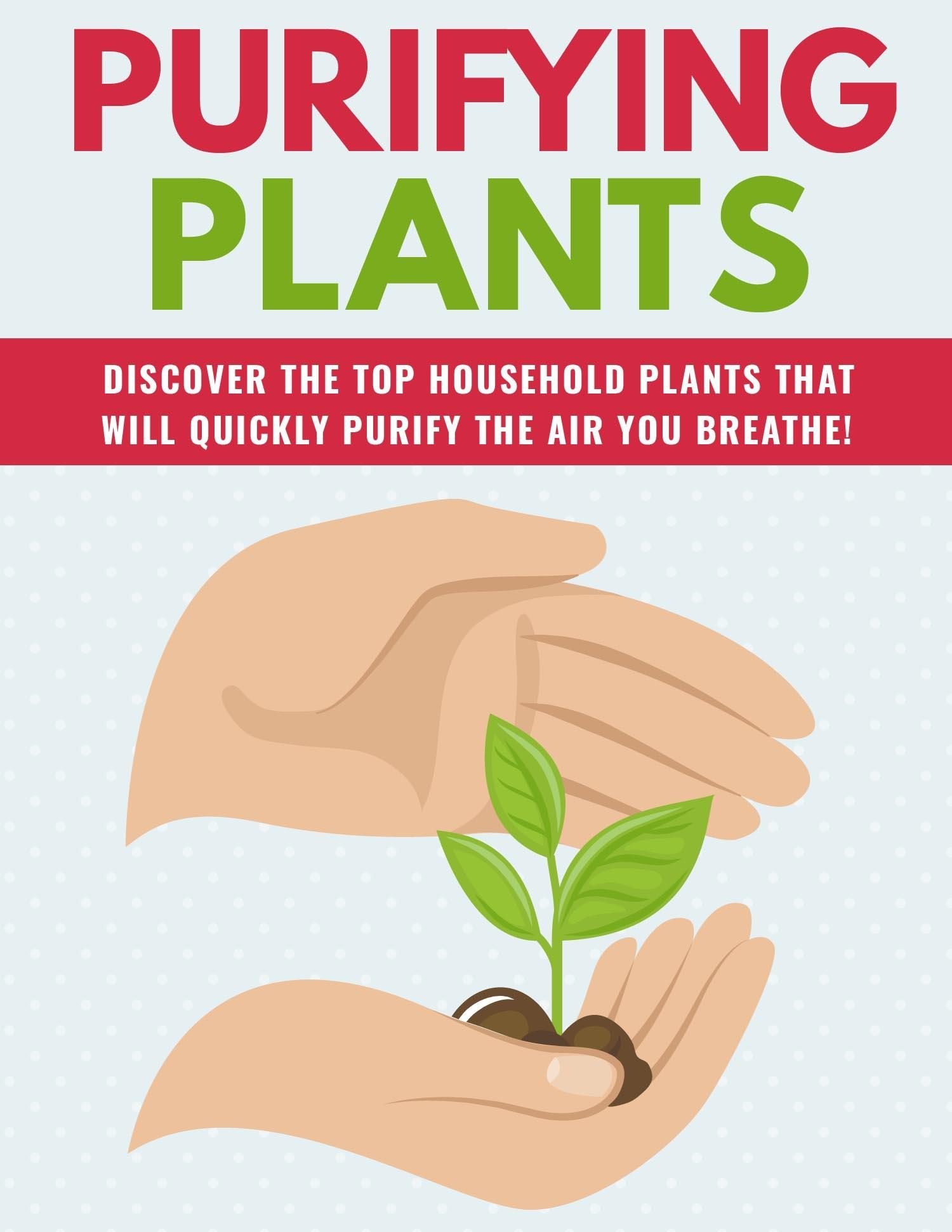 Top 10 Air Purifying Plants: Special Report