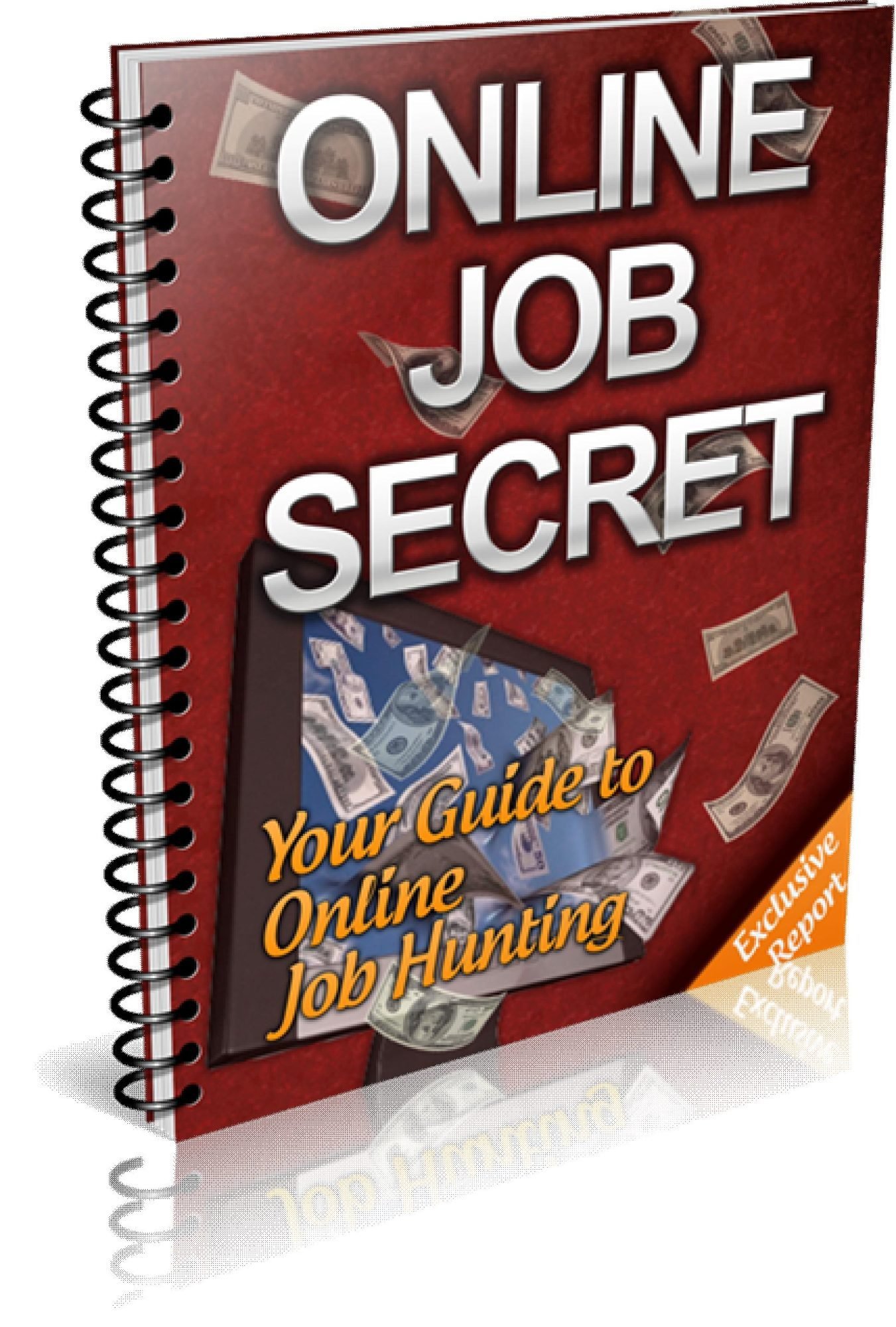 ONLINE JOB SECRET Your Guide To Online Job Hunting