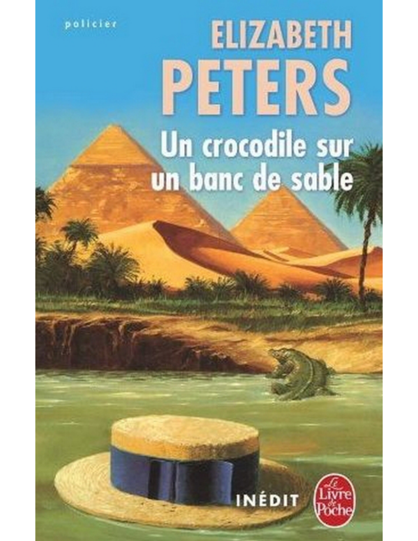 Un Crocodile sur un Banc de Sable